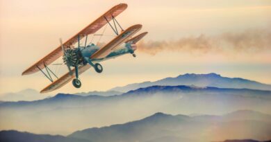 Histoire de l’aviation :un rêve